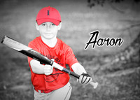 aaron_alstol_2
