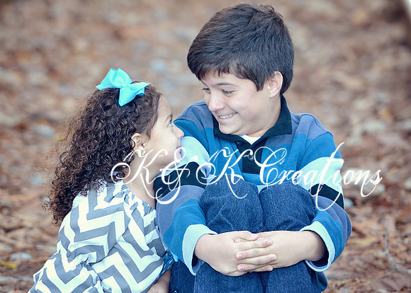 KRS_0295_1