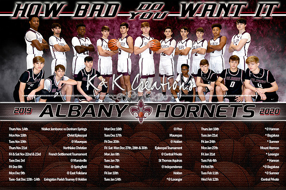 albany schedule
