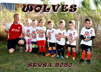 5X7 WOLVES TEAM