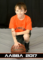 brian_robertson_1