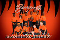Bengals