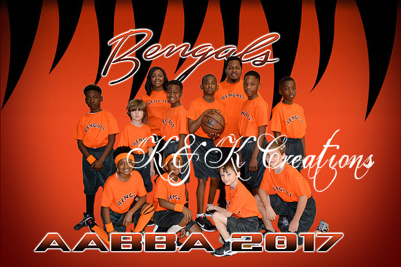 bengals_team