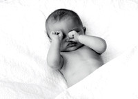 cohen_1