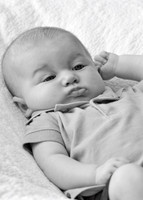 cohen_5
