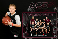 ACE ADAMS MEMORY MATE