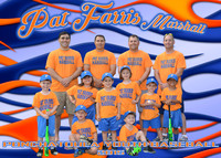 pat ferris_team