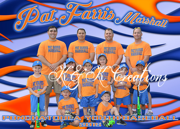 pat ferris_team