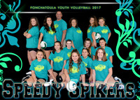 SPEEDY SPIKERS