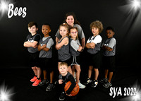 Team #7 Bees