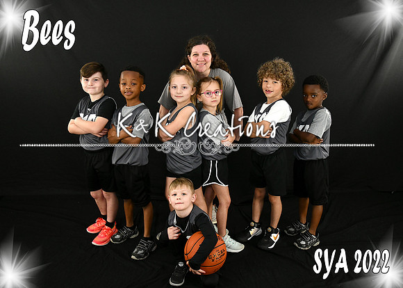 5x7 Team #7 BEES
