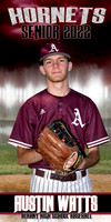AUSTIN WATTS BANNER