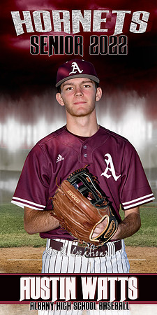 AUSTIN WATTS BANNER
