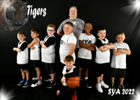 Team #15 Tigers