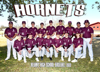 Albany High Baseball 2022