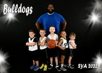 Team #10 Bulldogs