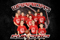 warriors team