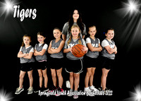 Team #3 Tigers