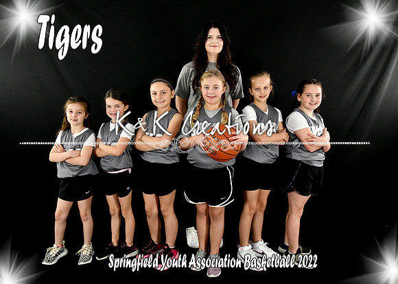5x7 team #3 tigers
