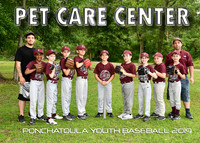 5X7 BOYS 9-10 PET CARE CENTER TEAM