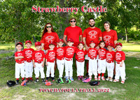 TBall Strawberry Castle