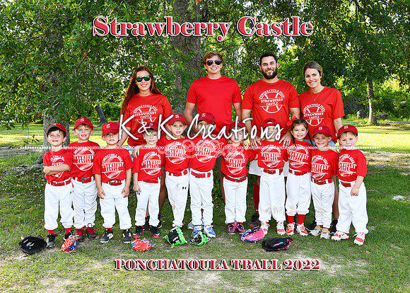 5x7 strawberry castle tball team