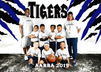 5x7 TIGERS AABBA TEAM