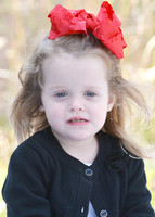 KRS_1281_1