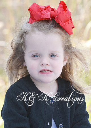 KRS_1281_1