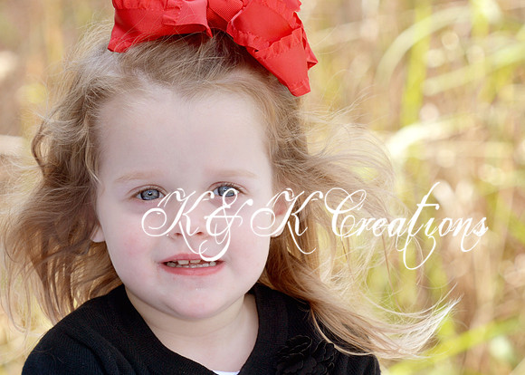KRS_1278_1