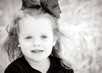 KRS_1278_bw