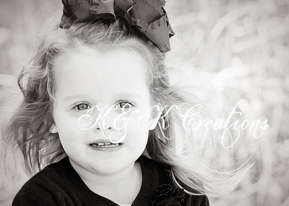 KRS_1278_bw