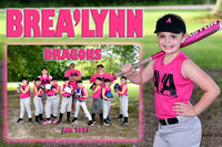 BREA'LYNN STEWART MEMORY MATE