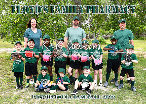 5X7 TBALL FLOYDS TEAM