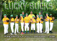 5X7 11-12B LUCKY BUCKS TEAM