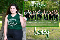 laney bourgeois memory mate