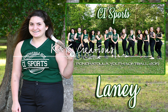laney bourgeois memory mate