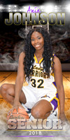 ANIA JOHNSON BANNER