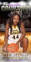 ANAYSHIA COURTNEY BANNER