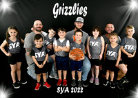 Team #11 Grizzlies