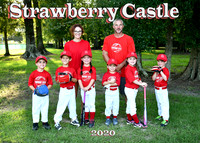 TBall Strawberry Castle