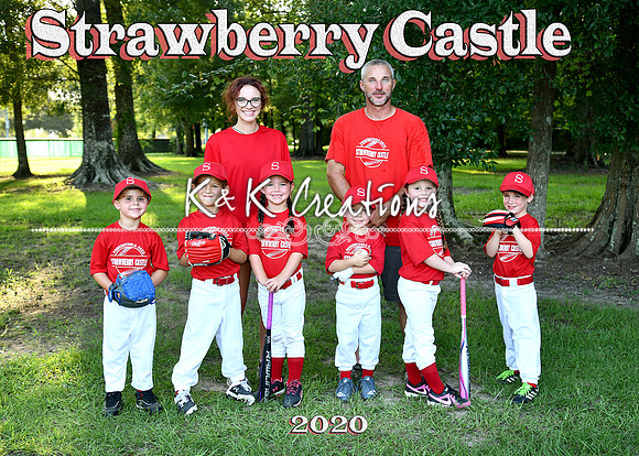 5x7 tball strawberry castle team