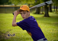 noah_pollamd_2
