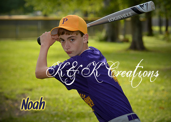 noah_pollamd_2