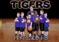 7-8 Boys #3 Tigers