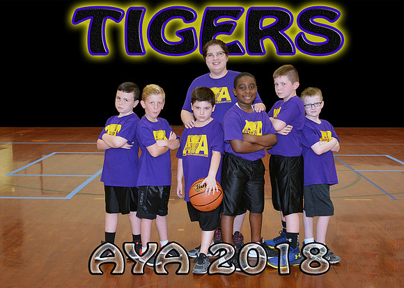 5x7 7-8B #3 Tigers Team