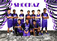 5x7 13-16 SHOCKAZ Team