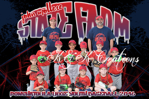john_millere_state_farm_team