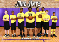 MAD ANTS