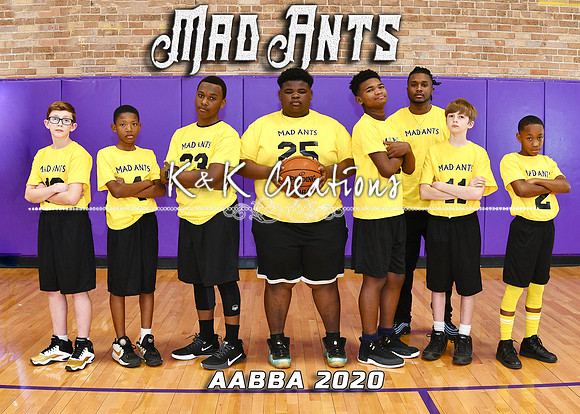 5X7 MAD ANTS TEAM